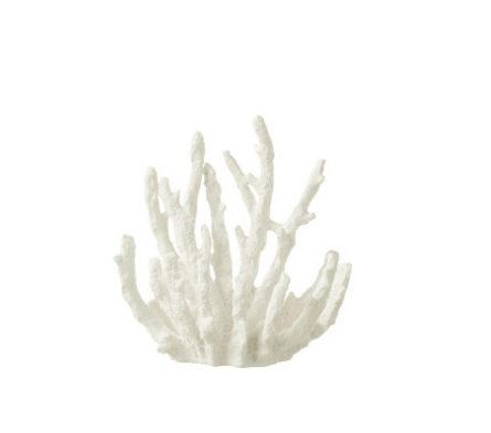 Corail blanc Small - Jline 