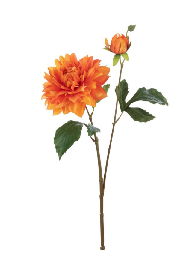 Fleur Dahlia orange - Jline  