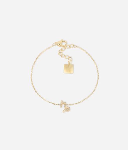 Bracelet Capricorne - Zag 