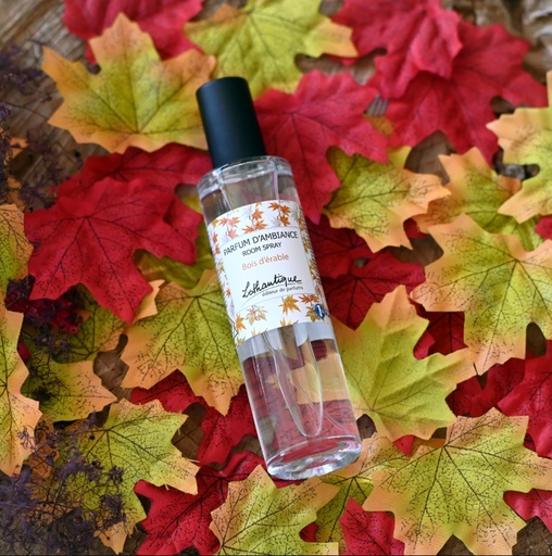 Parfum d'ambiance Bois d'érable - Amélie et Mélanie 