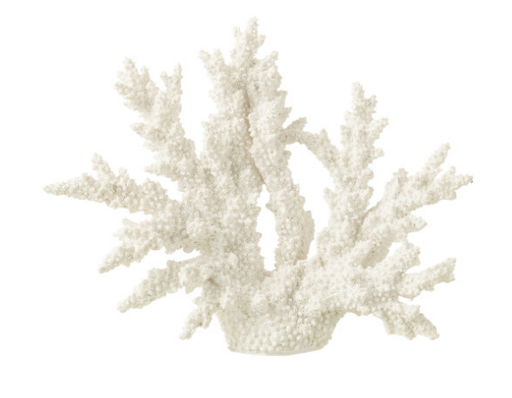 Corail blanc Large - Jline 