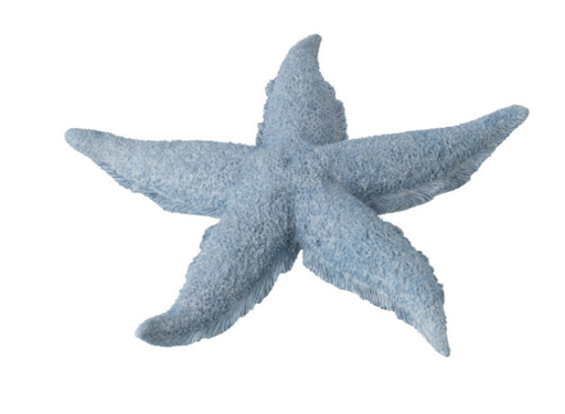 Étoile de mer bleu - Jline 